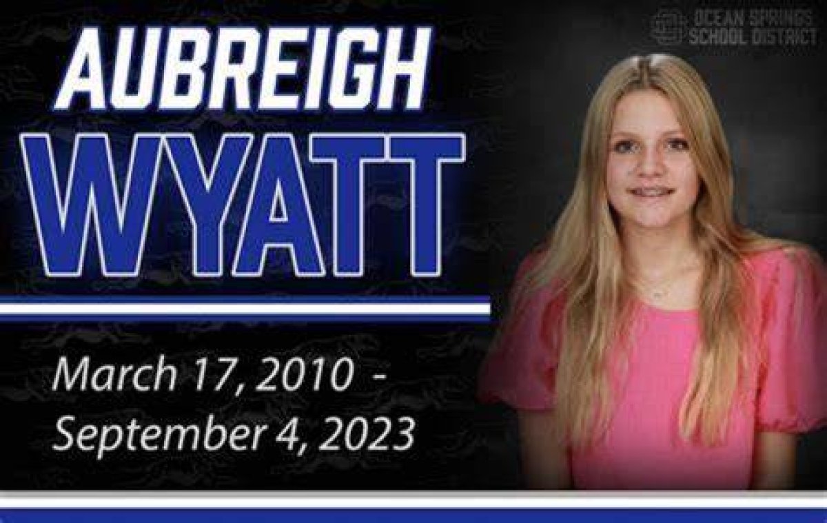 A Comprehensive Look into the Aubreigh Wyatt Police Report