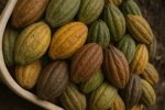 A Journey of Flavor and Community