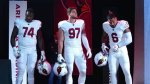 Arizona Cardinals History, Uniforms, Rivalries, Staff, Players, and More