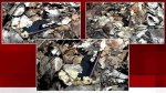 Delphi Murders Leaked Texts Revealed the Evidence Behind the Brutal Death