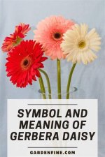 Discover the Hidden Meanings of Gerbera Daisy Tattoos
