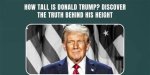 Discover the Truths Behind "How Tall Is Pineapplebrat"