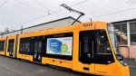 Discovering Stadler Tina: the Journey of a Remarkable Talent