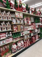 Discovering the Fascination of Hobby Lobby Centipede