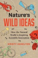 Dive into the Inspiring World of Kristy Greenberg: Surfing, Conservation, and Empowerment