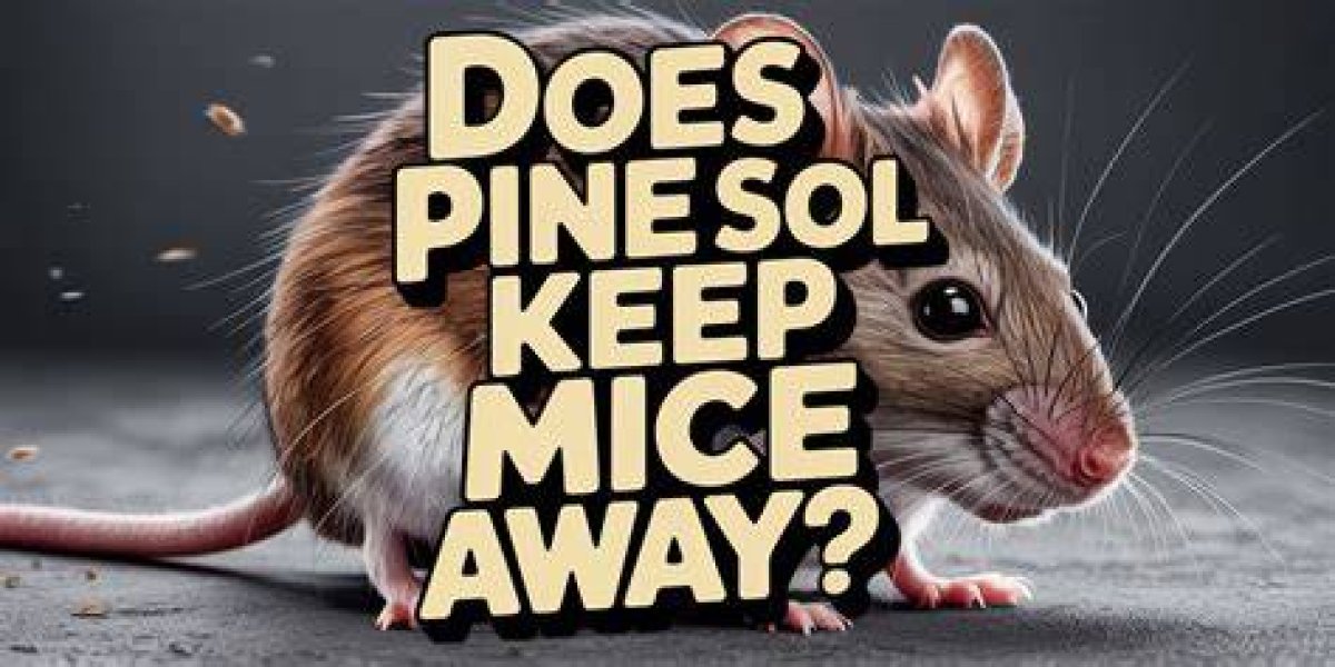 Does Pine-Sol Really Deter Mice?