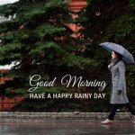 Embracing the Serenity of a Rainy Day Good Morning