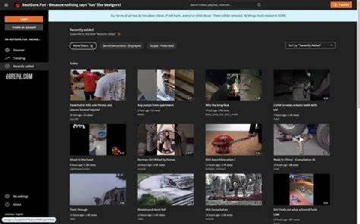 Exploring Gore Websites: Alternatives & What You Need to Know
