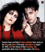 Exploring the Connection Between Siouxsie Sioux and Palestine