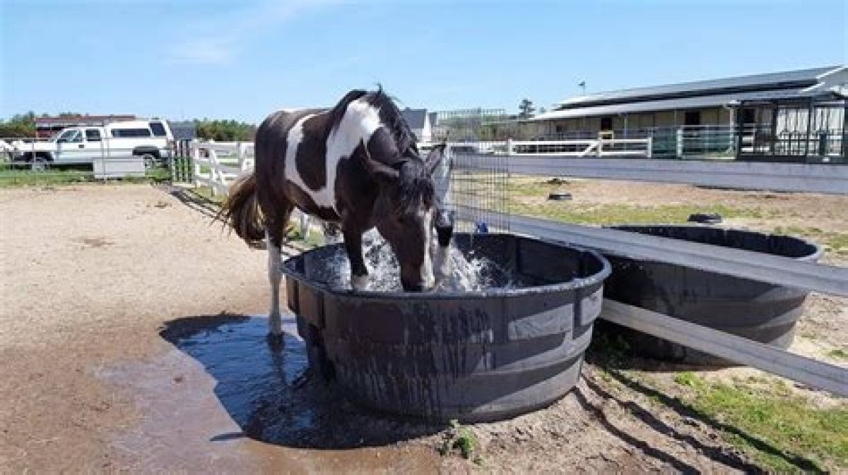 How Do You Keep a Horses Trough from Freezing?