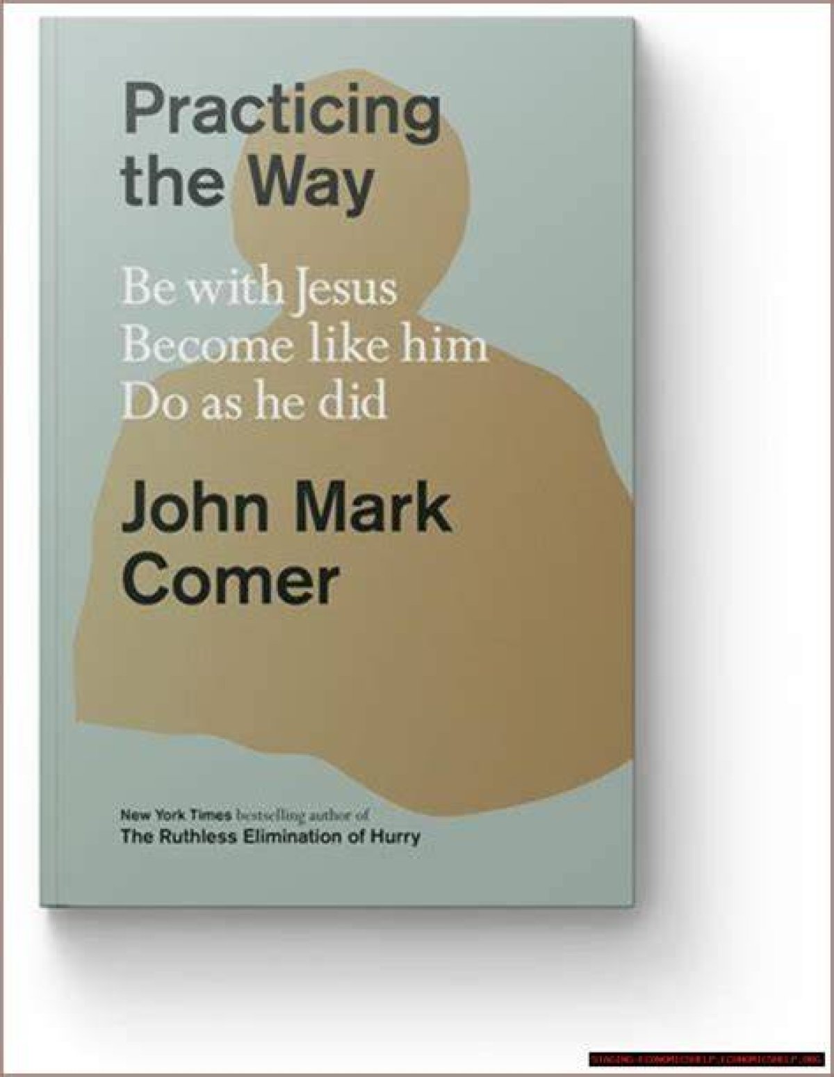 John Mark Comer's Wife's Journey with Chronic Illness