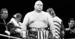 Meet the Phenomenon: the Butterbean Boxer