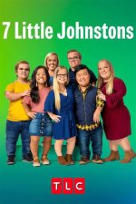 The Heartwarming World of the 7 Little Johnstons