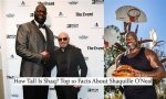 The Multifaceted World of Shaquille O'neal's Wife, Shaunie Henderson