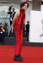 Timothée Chalamet: Weight and Height Explained
