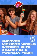 Uncover a World of Wonder: Explore "Holly Mcfeeture 2022"