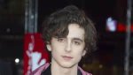 Uncover the Hidden Story of Timothe Chalamet's Talented Sister
