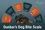 Understanding the Griff Rule: a Comprehensive Guide