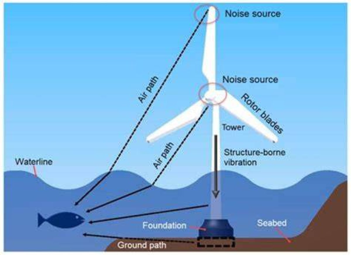 Understanding Wind Widows: the Unseen Impact of Wind Energy