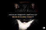 Unraveling the Mystery: What Does Llaw Mean Aubrey Wyatt?