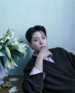 Unveiling the Charisma of Park Bo-Gum: a Journey Through Stardom