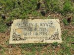 Unveiling the Mysteries of Aubrey Wyatt's Sister