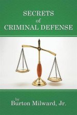 Unveiling the Secrets of Criminal Defense with David Marks in Florida