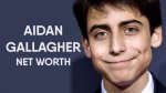 What Is Aidan Gallagher's Net Worth: a Comprehensive Guide