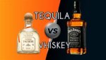 Why Is Tequila So Strong?